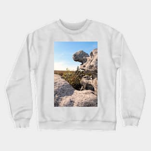 Rock Formation, Dolly Sods, West Virginia Crewneck Sweatshirt